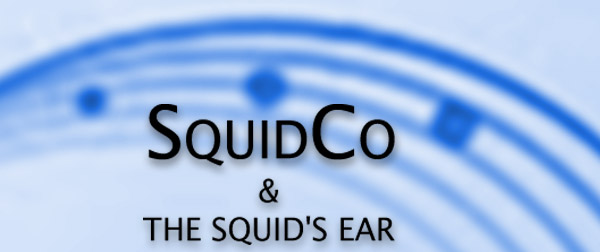 Squidco & The Squid's Ear